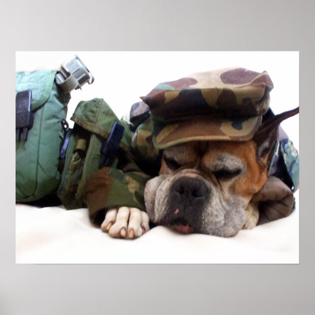 Military boxer dog poster (Front)