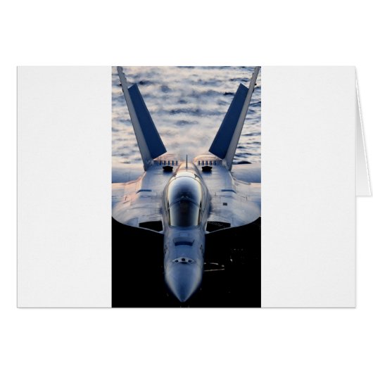 Military jet (Front Horizontal)