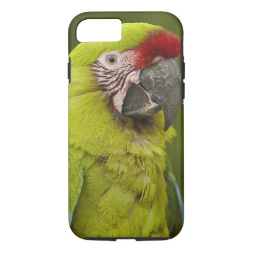 Military macaw Ara militaris CAPTIVE Amazon 2 iPhone 87 Case