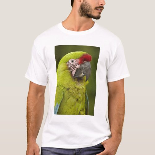 Military macaw Ara militaris CAPTIVE Amazon 2 T_Shirt