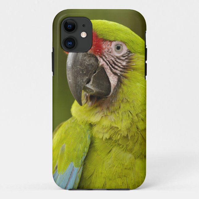 Military Macaw Case-Mate iPhone Case (Back)