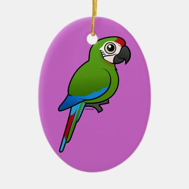 Military Macaw Ceramic Ornament (Front)