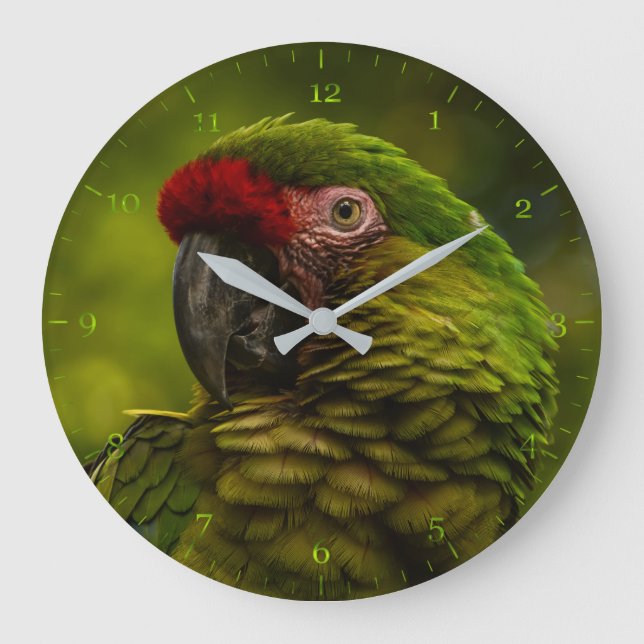 Military Macaw green Parrot Large Clock (Front)