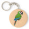 Military Macaw