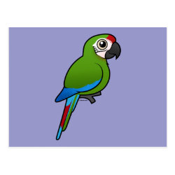 Birdorable Military Macaw Postcard