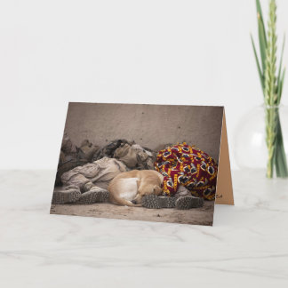 military men and dog Inspirational Card