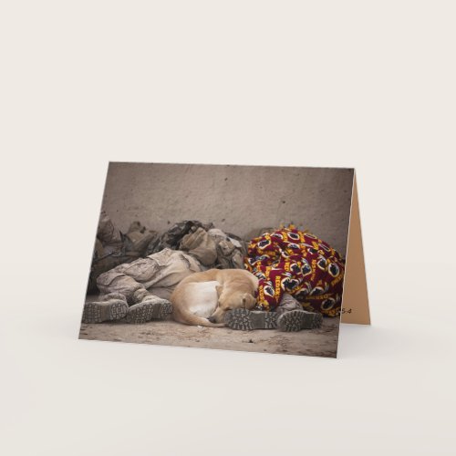 military men and dog Inspirational Card military men and dog Inspirational Card