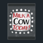 Milk A Cow Today Postcard<br><div class="desc">"Milk A Cow Today" is a cute text design in gray with black and red text. It sits on a white accent shape and cute white polka dots surrounding it.</div>