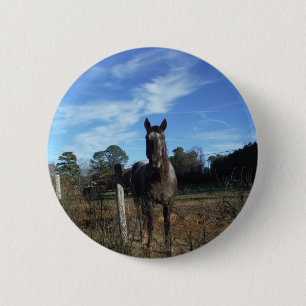 Milk Chocolate Brown Horse in Blue Button