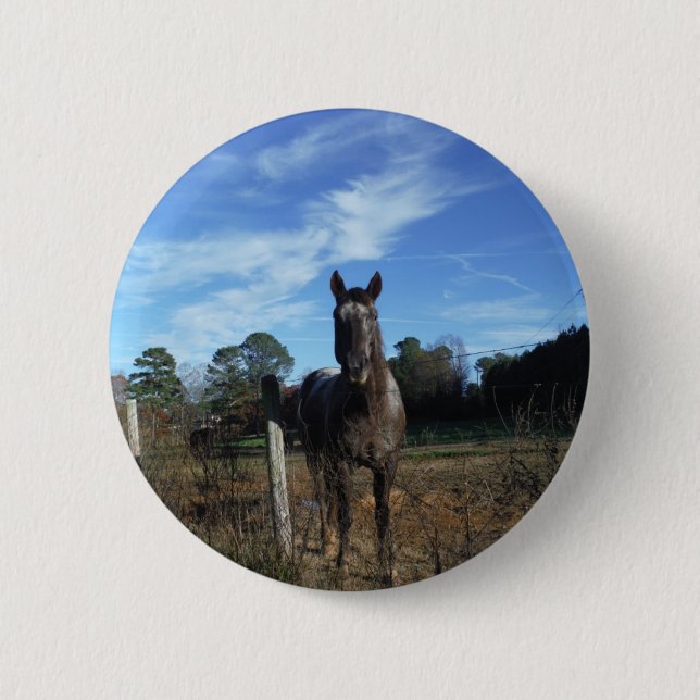 Milk Chocolate Brown Horse in Blue Button (Front)