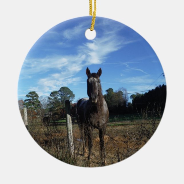 Milk Chocolate Brown Horse in Blue Ceramic Ornament (Front)