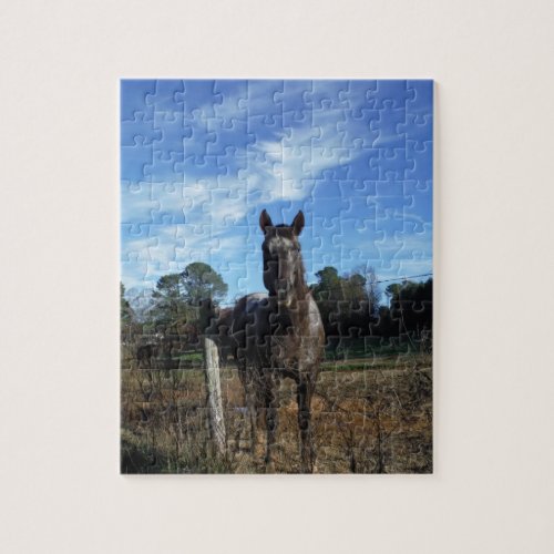 Milk Chocolate Brown Horse in Blue Jigsaw Puzzle