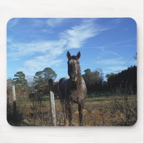 Milk Chocolate Brown Horse in Blue Mouse Pad