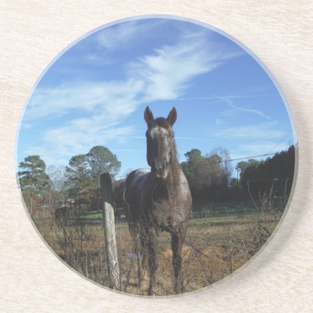 Milk Chocolate Brown Horse in Blue Sandstone Coaster (Front)