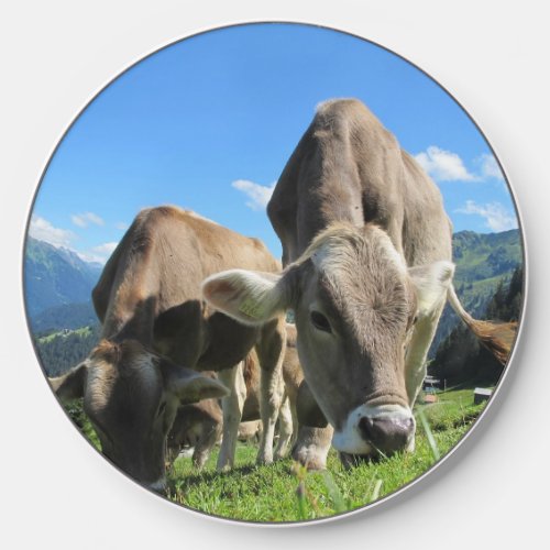 Milk Cow in the alps Wireless Charger