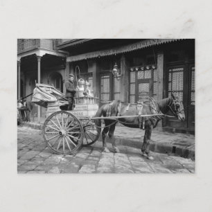 Milk Delivery Cart, 1903 Postcard