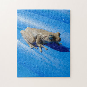 Milk Frog on a Blue Pool Float Jigsaw Puzzle