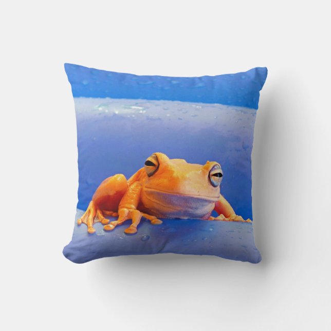 Milk Frog on a Floatie Throw Pillow (Front)