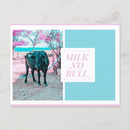 Milk no Bull Postcard