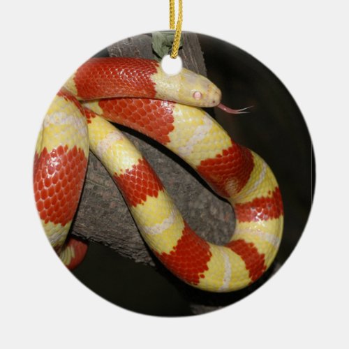 Milk snake ceramic ornament