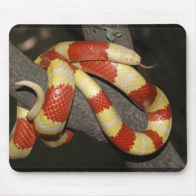 Milk snake mouse pad (Front)