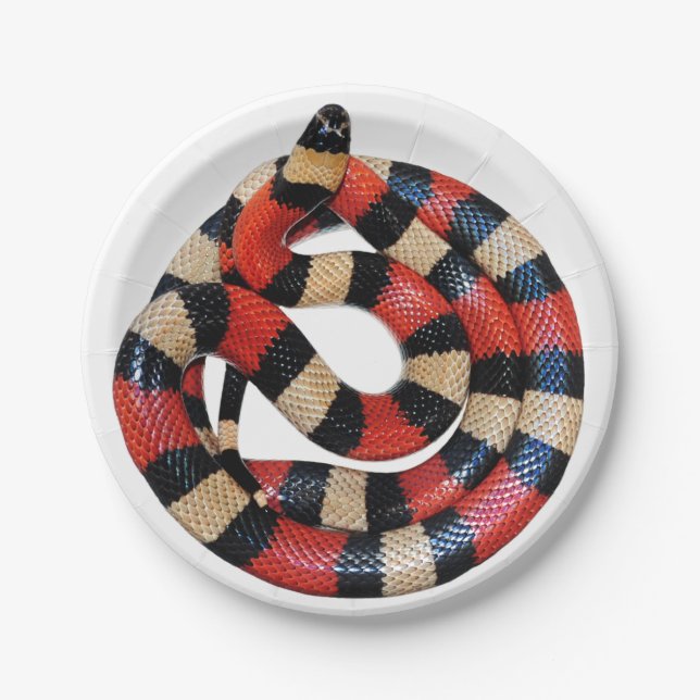 Milk snake paper plates (Front)