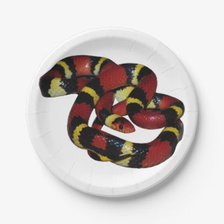 Milk snake paper plates