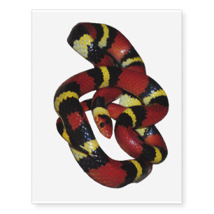Milk snake temporary tattoos