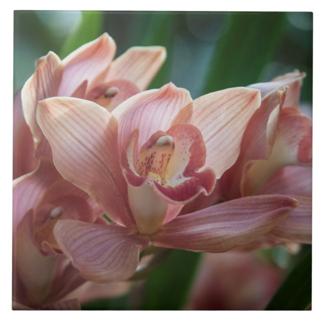 Milk Tea Orchid Ceramic Tile (Front)