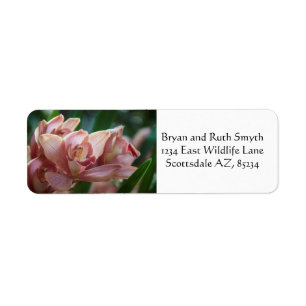 Milk Tea Orchid Label