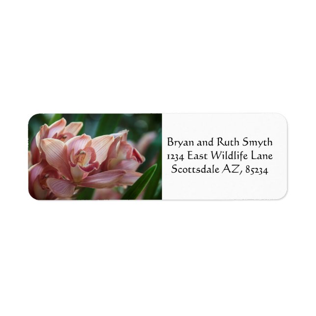 Milk Tea Orchid Label (Front)