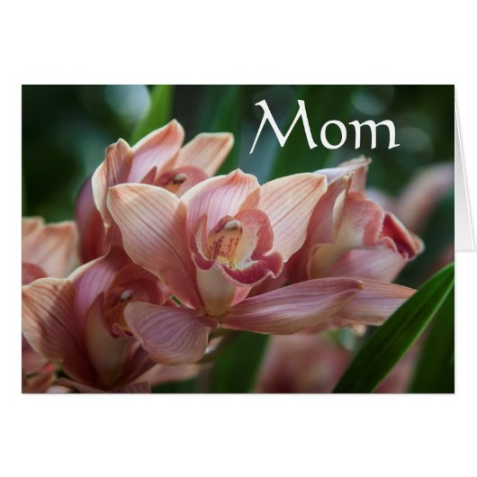 Milk Tea Orchid, Mom Cards (Front Horizontal)