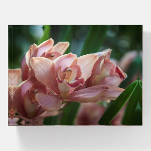 Milk Tea Orchid Paperweight