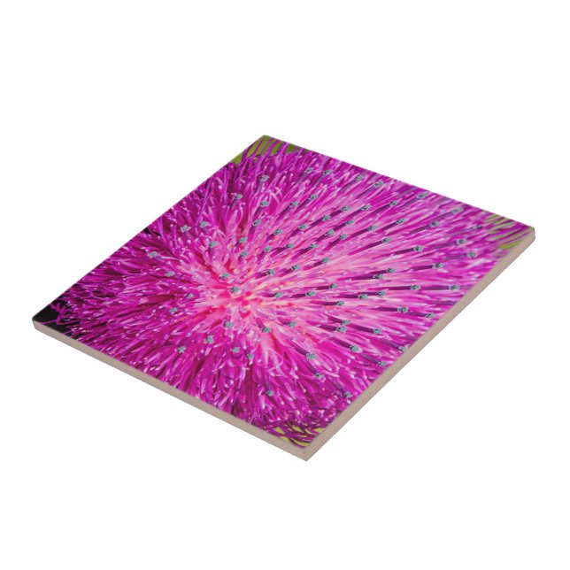 Milk thistle closeup ceramic tile (Side)