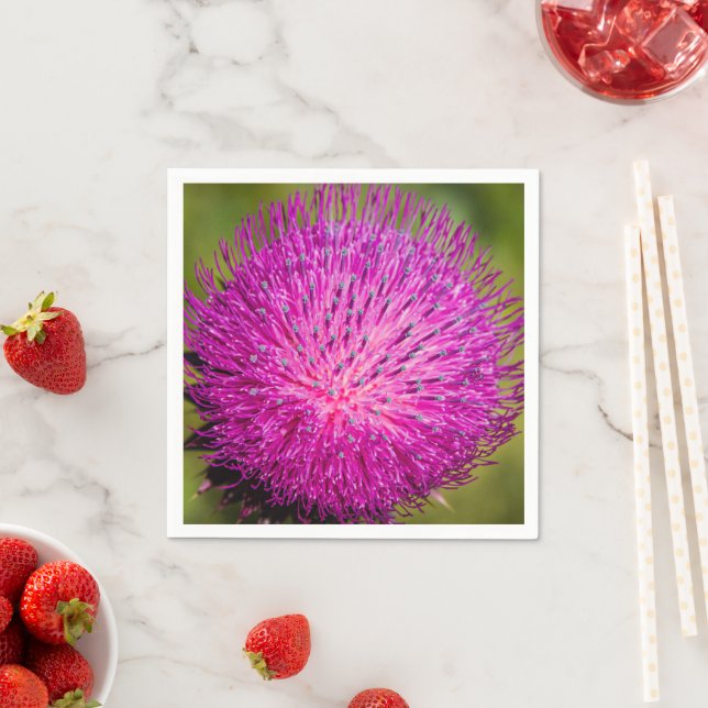 Milk thistle closeup napkins (Insitu)