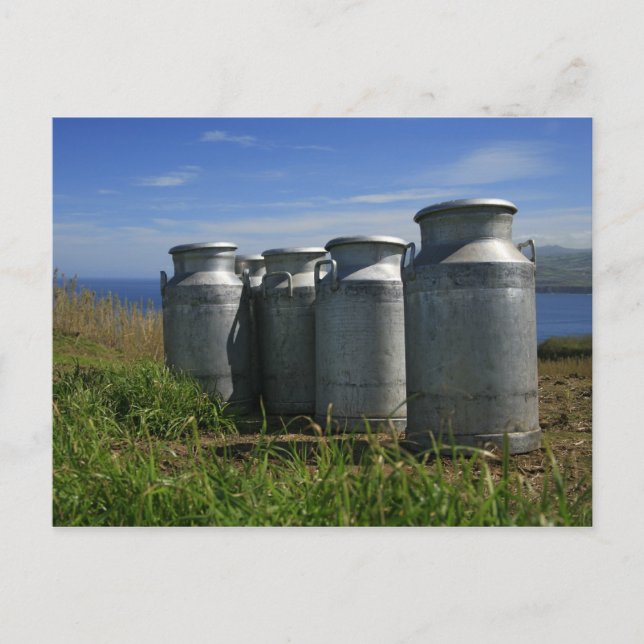 Milk urns postcard (Front)