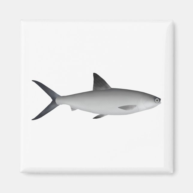 Milkfish Magnet (Front)