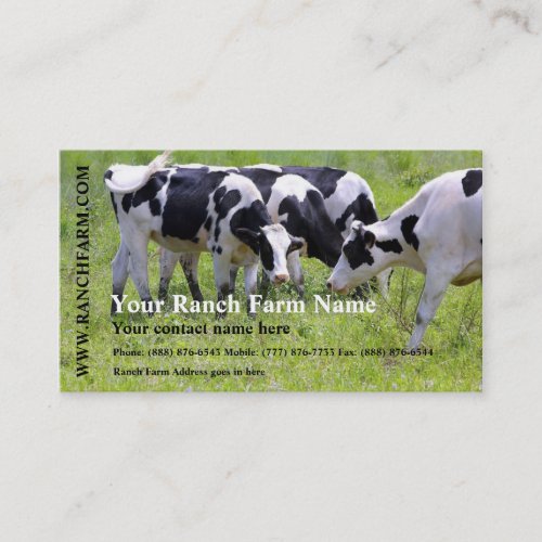 Milking Dairy Cow Cattle Ranch Farm Business Card