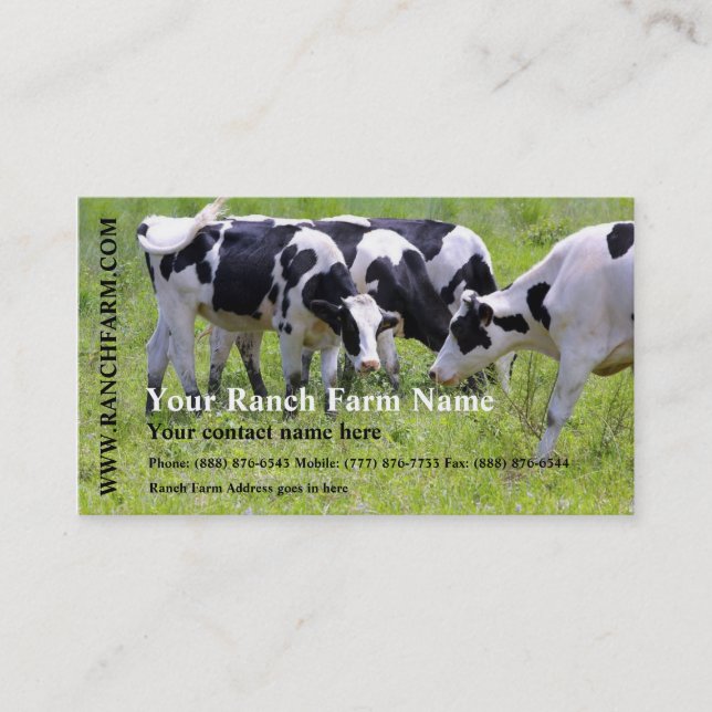 Milking Dairy Cow Cattle Ranch Farm Business Card (Front)