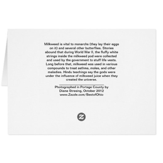 Milkweed (Back Horizontal)