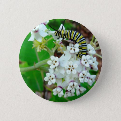 Milkweed and Monarch Button