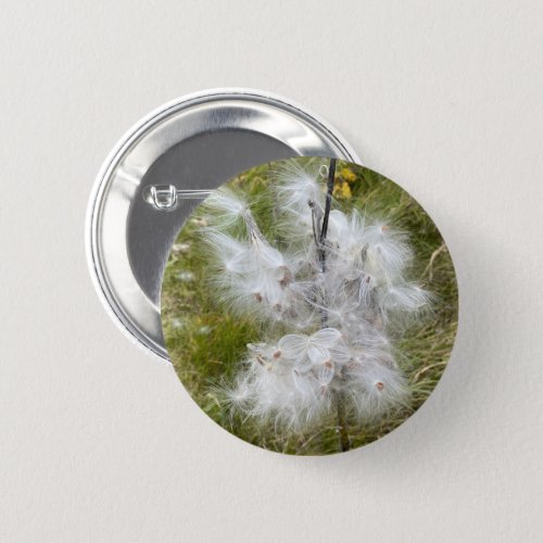 Milkweed  Butterfly  Button