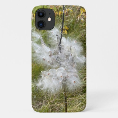 Milkweed  Butterfly  iPhone 11 Case