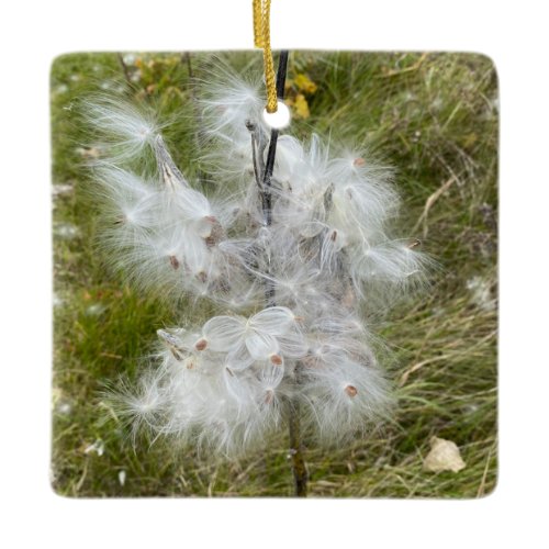 Milkweed | Butterfly | Ceramic Ornament