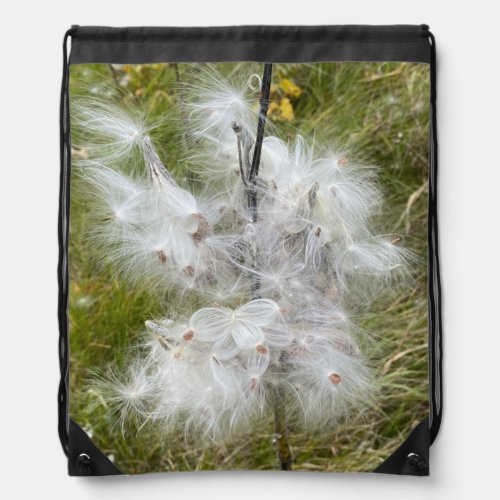 Milkweed  Butterfly  Drawstring Bag