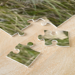 Milkweed   Butterfly   Jigsaw Puzzle