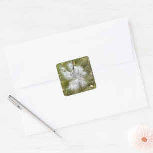 Milkweed Butterfly Square Sticker