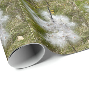 Milkweed Butterfly Wrapping Paper