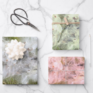 Milkweed   Butterfly   Wrapping Paper Sheets