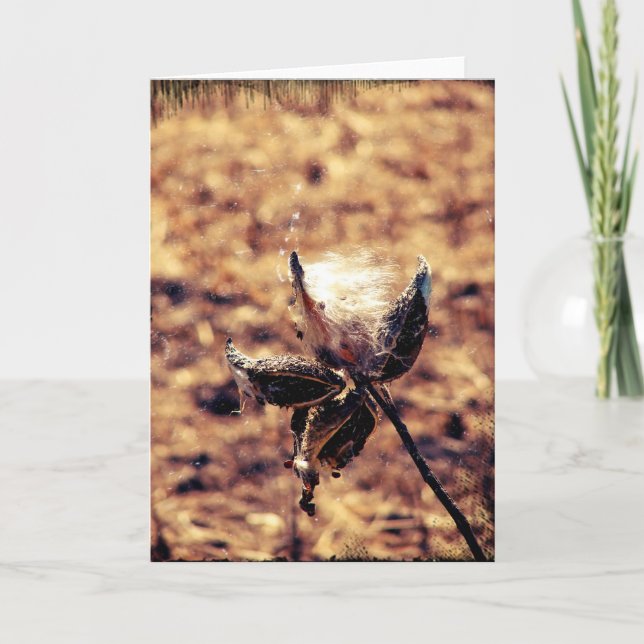 Milkweed Grunge Card (Front)
